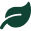Leaf Icon